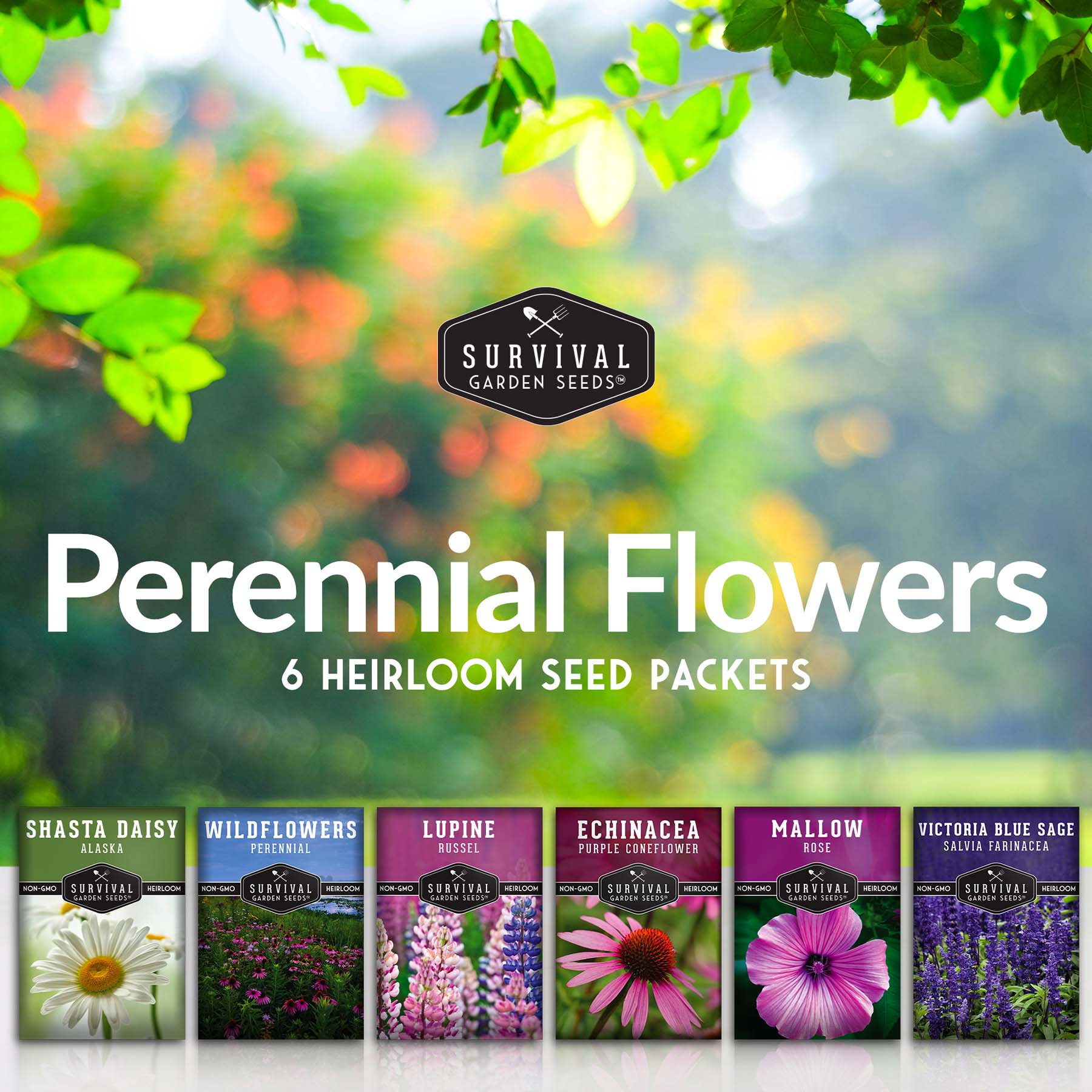 Perennial Flowers Mix - Shasta Daisy, Echinacea, Russell Lupine, Rose Mallow, Blue Sage, and Perennial Wildflower Mix
