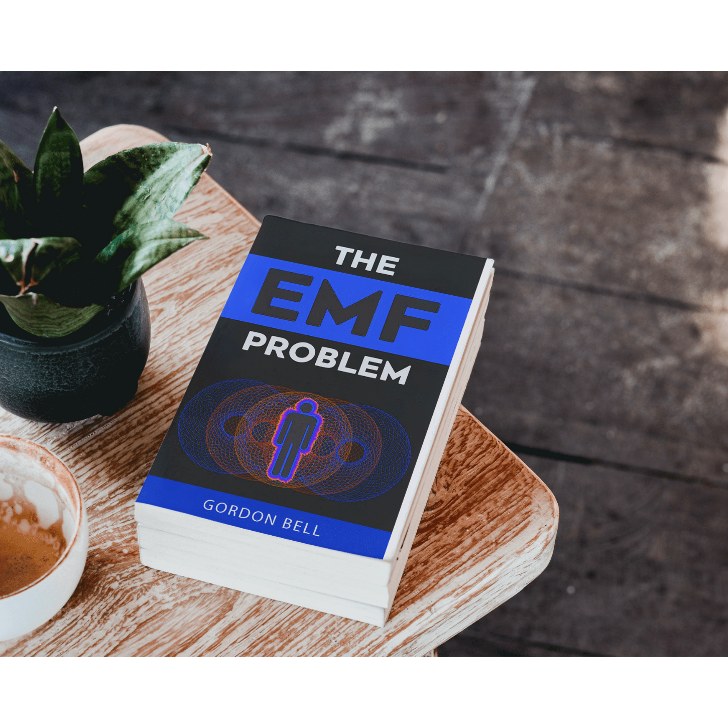 The EMF Problem Book