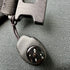 Button Compass with Lanyard