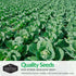 Cabbage Seed Collection - Red Acre, Golden Acres, Jersey Wakefield, Early Round Dutch & Michihili (Napa)