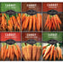 Carrots Collection - Scarlet Nantes, Imperator, Little Fingers, Chantenay Royal, Danvers and Tendersweet
