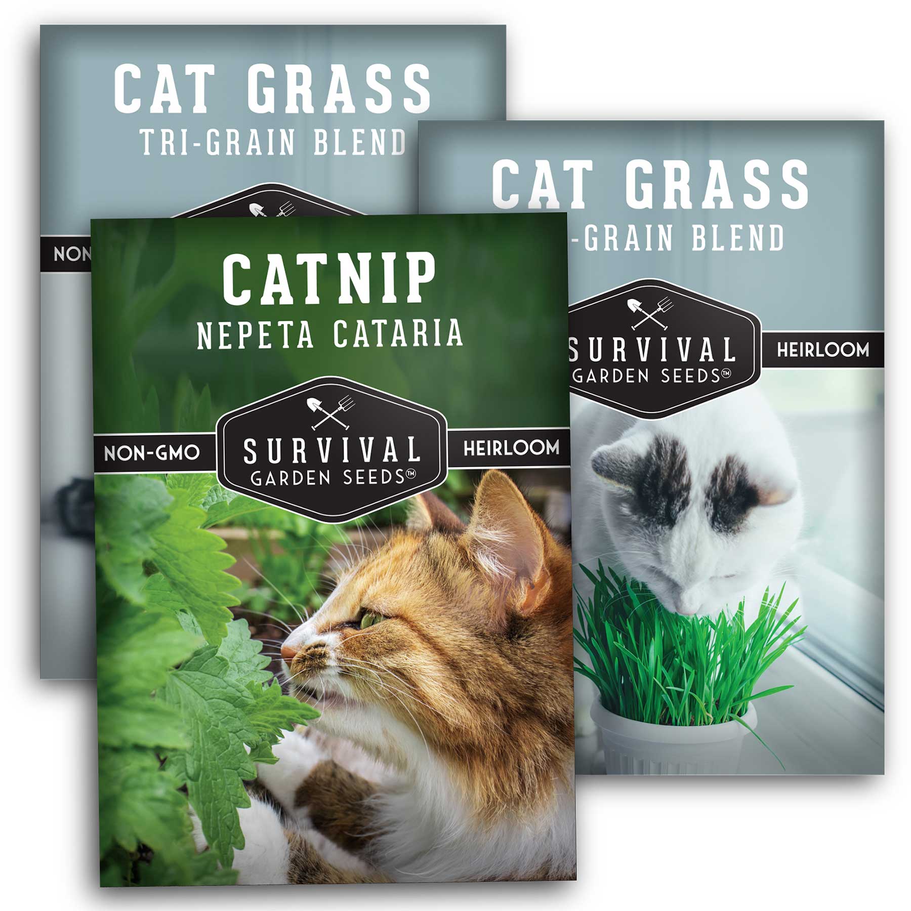 Cat Herb Seed Collection - Catnip & Cat Grass Seed Packets