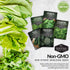 Cool Weather Vegetable Seed Collection - Spinach, Kale, Cilantro, Broccoli, and Leaf Lettuce
