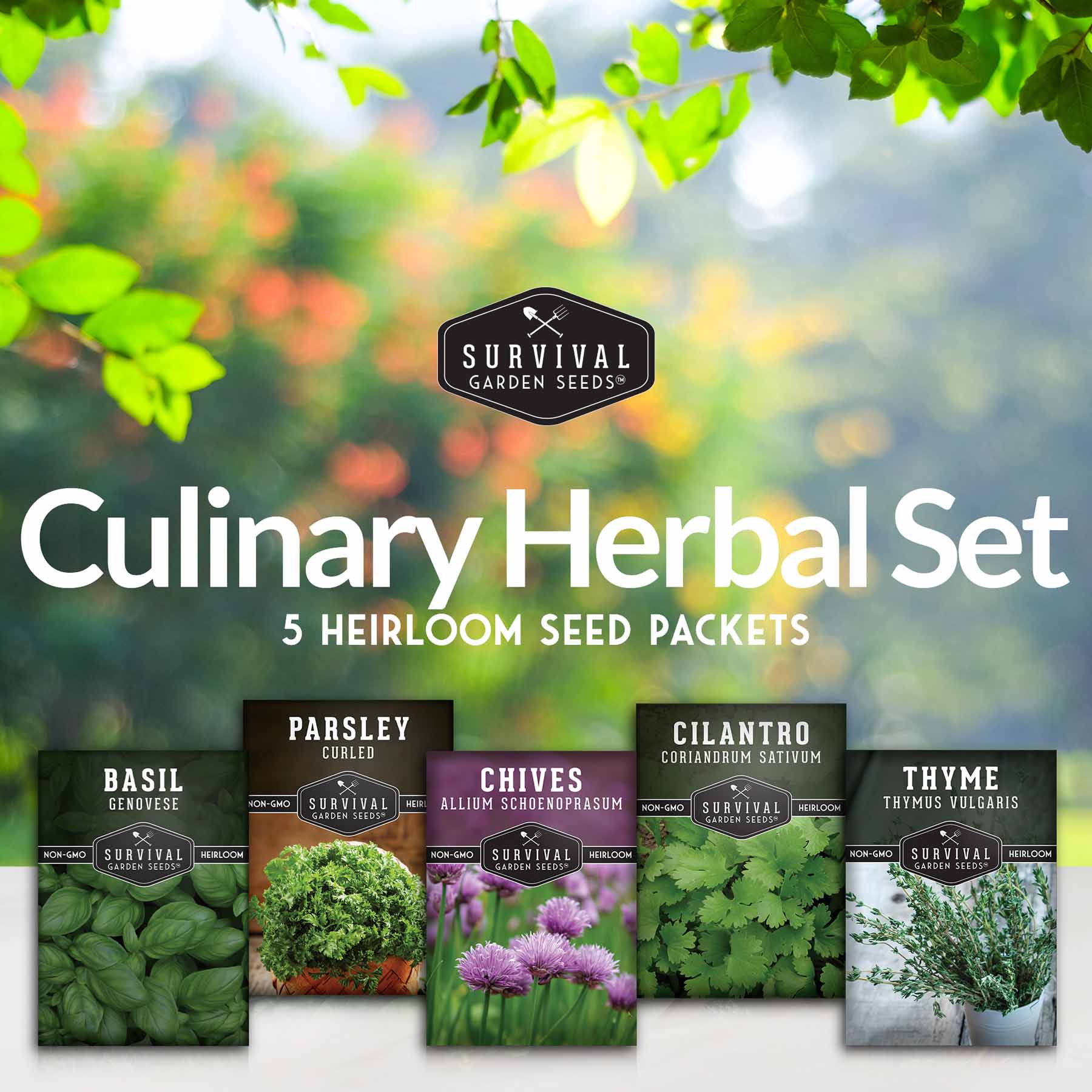 Culinary Herb Seed Collection - 5 Classic Culinary Herbs