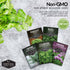Culinary Herb Seed Collection - 5 Classic Culinary Herbs