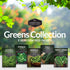 Greens Collection - Spinach, Arugula, Kale, Lettuce & Swiss Chard