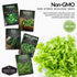Greens Collection - Spinach, Arugula, Kale, Lettuce & Swiss Chard