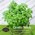 Herb Collection - Basil, Cilantro, Dill, Lemon Balm, Parsley