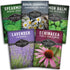 Herbal Tea Seed Collection - 5 Herbs to Grow for Herbal Tea