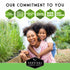 Herbalist Seed Bundle - 9 Important Medicinal Herbs