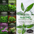 Hydroponic Herb Seed Collection
