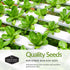 5 Lettuce Collection - Buttercrunch, Oakleaf, Lolla Rosa, Parris Island, Iceberg