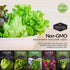 5 Lettuce Collection - Buttercrunch, Oakleaf, Lolla Rosa, Parris Island, Iceberg