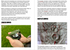 Master Navigator PDF Series: Complete PDF Bundle (Parts One–Eight)