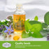Medicinal Herb Collection - 18 Medicinal Herbs