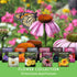 10 Flower Seed Collection - 10 Colorful & Useful Flower Varieties