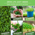 Microgreens 10 Variety Seed Kit