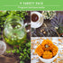 Medicinal Tea Seed Collection - 9 Flowers and Herbs for Medicinal Tea