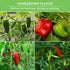 8 Peppers Seed Collection  - Sweet & Hot Peppers