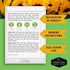 6 Sunflower Collection -  A Rainbow of Colorful Sunflowers