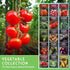 Vegetable Garden Collection - 15 Packs of Vegetable Seeds
