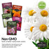 5 Flower Seed Collection - Hollyhock, Shasta Daisy, Coneflower (Echinacea), Marigold, Zinnia
