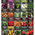 Starter Kit Seed Vault - 20 Delicious Varieties of Vegetables