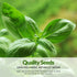 Starter Kit Seed Vault - 20 Delicious Varieties of Vegetables