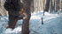 Into the Winter: Winter Survival Film with Joshua Enyart – Essential Skills for Cold Weather Adventures (Streaming and USB)