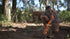 Into the Woods: Wilderness Survival Training Film with Joshua Enyart – Streaming & USB Options