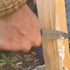Quick Feather Folding Knife