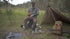 Wilderness Medical Training Film with Joshua Enyart – First Aid Skills for Remote Emergencies (Streaming)